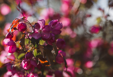 Similar image 22439570