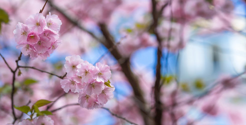 Similar image 22439579