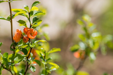 Similar image 22439582