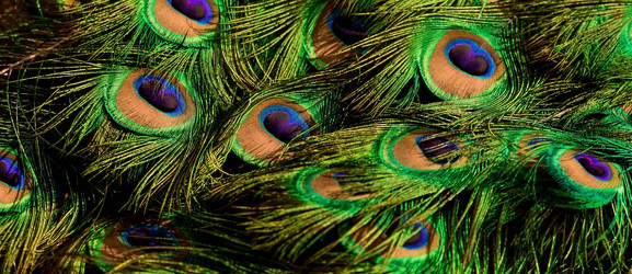 Similar image 22439583