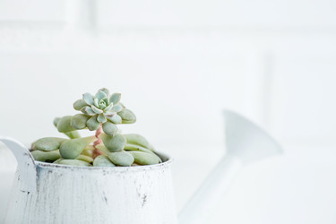 Similar image 22439588