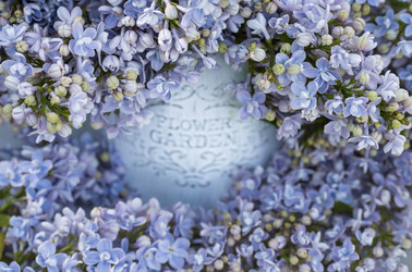 Similar image 22439600