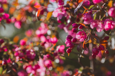 Similar image 22439610