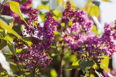 Similar image 22439625