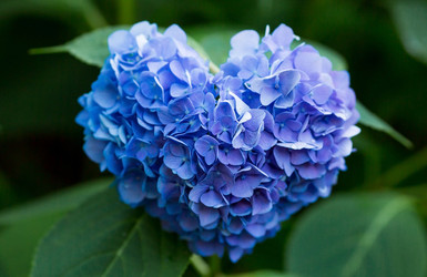 Similar image 22439626