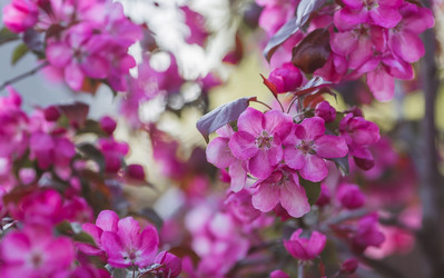 Similar image 22439627