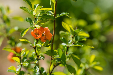 Similar image 22439631