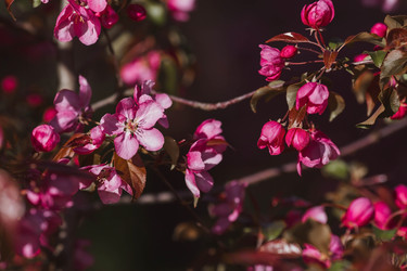 Similar image 22439632