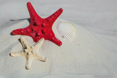 Similar image 22439635