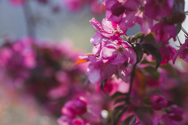 Similar image 22439637