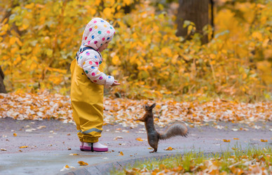 Similar image 22476625