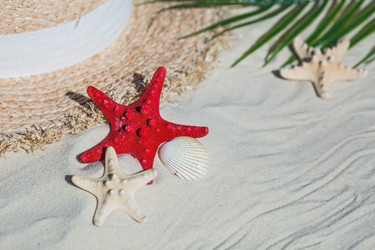 Similar image 22439642