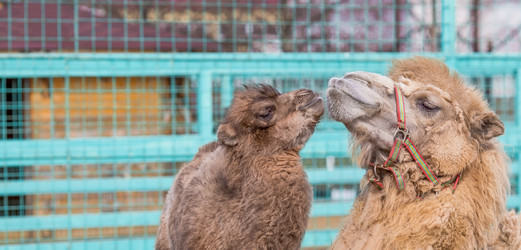 Similar image 22439656