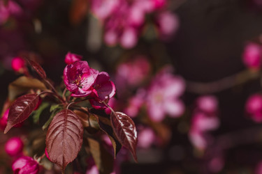 Similar image 22439663