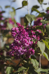 Similar image 22439664