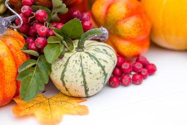 Similar image 22439669