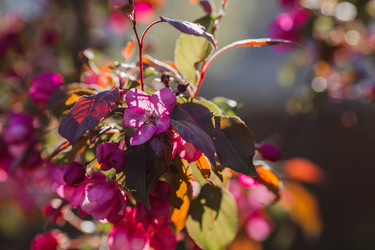 Similar image 22439678