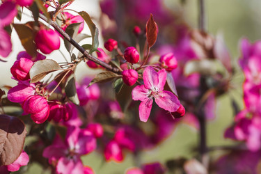 Similar image 22439680