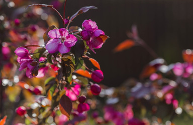 Similar image 22439684