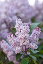 Similar image 22439697