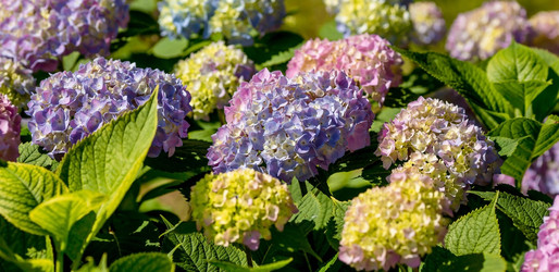 Similar image 22439699