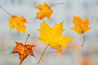 Similar image 22439713