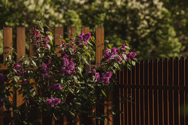 Similar image 22439716