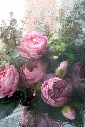 Similar image 22439722