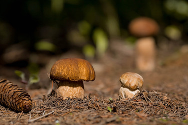 Similar image 22439724