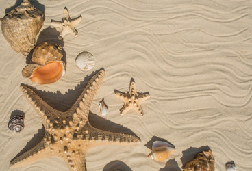 Similar image 22439727