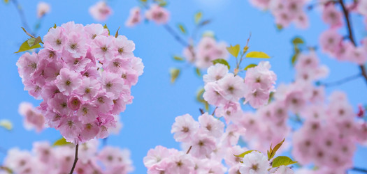 Similar image 22439730