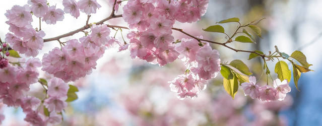 Similar image 22439731