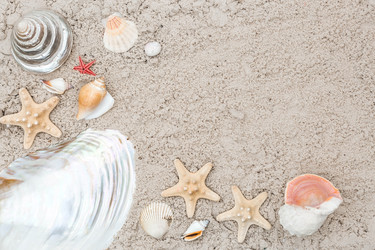 Similar image 22439735