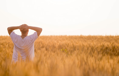 Similar image 22439736