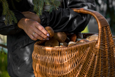 Similar image 22439737