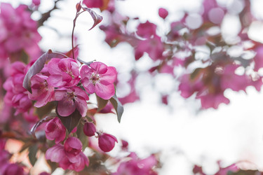 Similar image 22439738