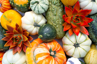 Similar image 22439740