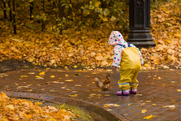 Similar image 22439743