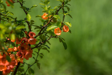 Similar image 22439761