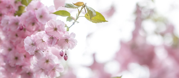 Similar image 22439763