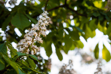 Similar image 22439777