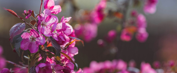 Similar image 22439779