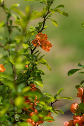 Similar image 22439783