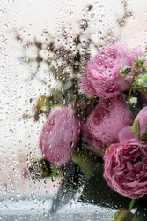 Similar image 22439796