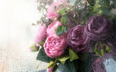 Similar image 22439803