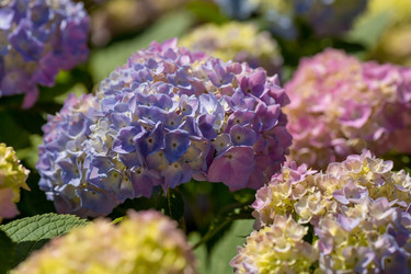 Similar image 22439813