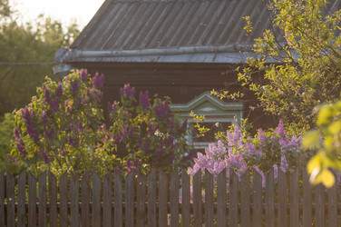 Similar image 22439816