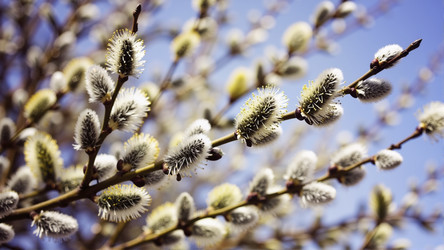 Similar image 22444634