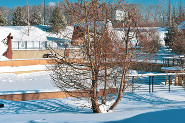 Similar image 22435153