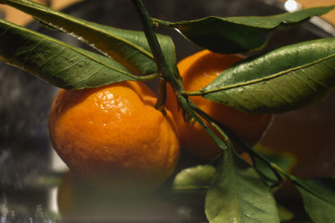 Similar image 22442456